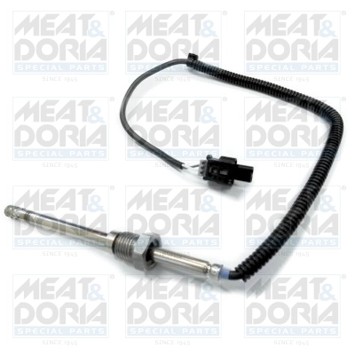Sensor, exhaust gas temperature